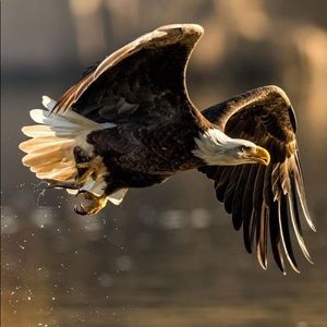 Meet your Posher, Yesi